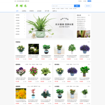 翠蝶恋植物网