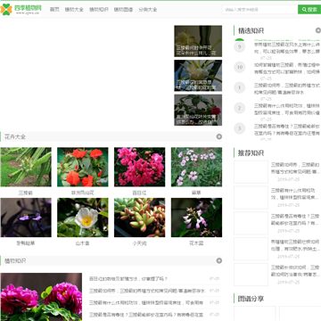 四季植物网站