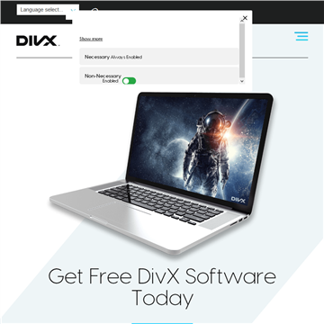 DivX软件