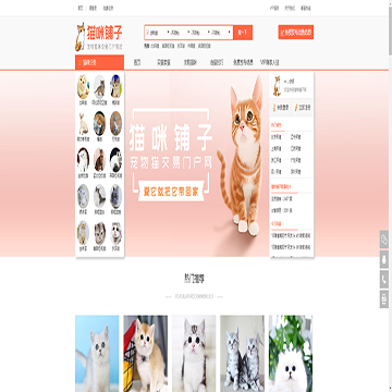 猫咪铺子