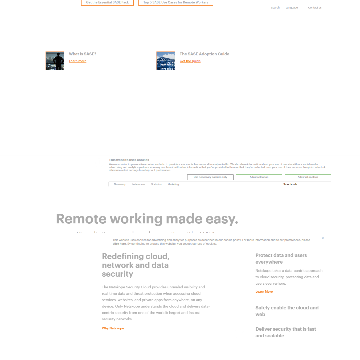 NetsKope