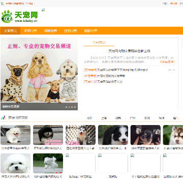 天宠网