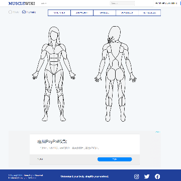 Muscle Wiki