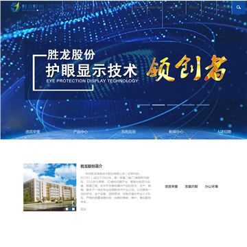 胜龙股份