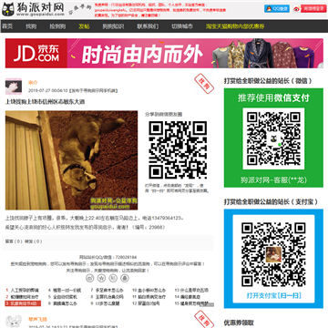 狗派对网