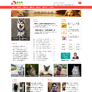 爱宠