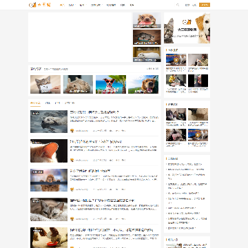 大王猫网