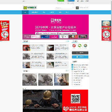 宠物赠送网