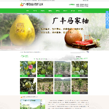 广丰紫霞农业