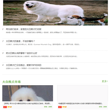 狗扑大白熊网