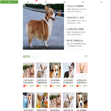 狗扑柯基网