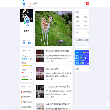 频网天气