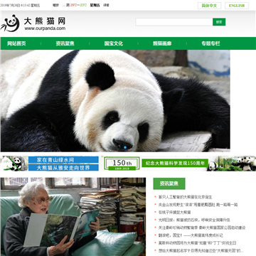 中国熊猫网