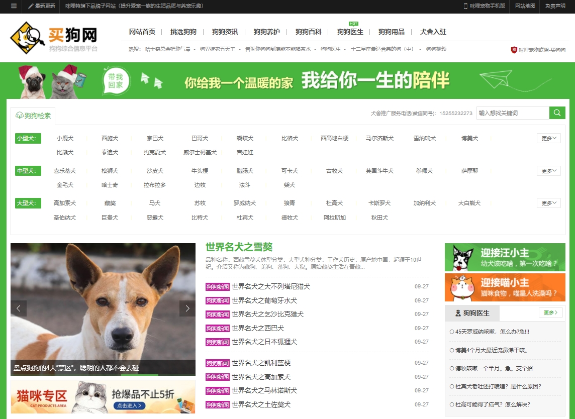 买狗网