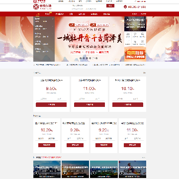 中投在线股份有限公司