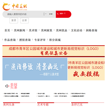 中国美网