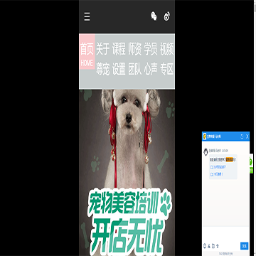 上海尊宠宠物美容师培训学校