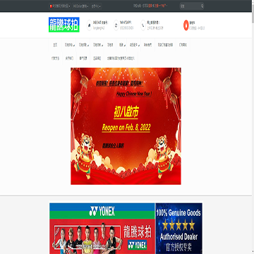 龍騰球拍