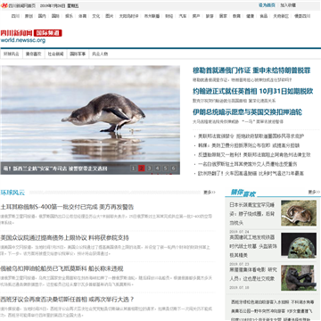 四川新闻网国际频道