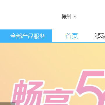 中国移动通信网