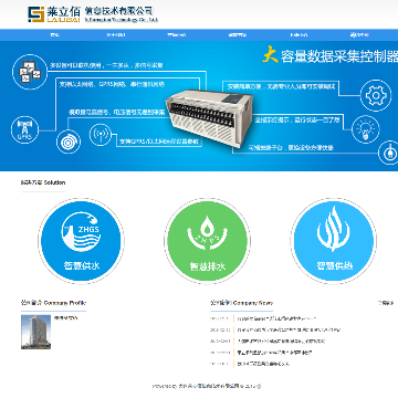 大连莱立佰信息技术有限公司