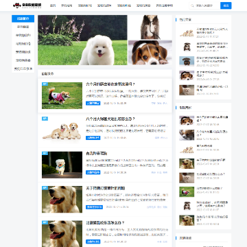 985爱宠物资讯网