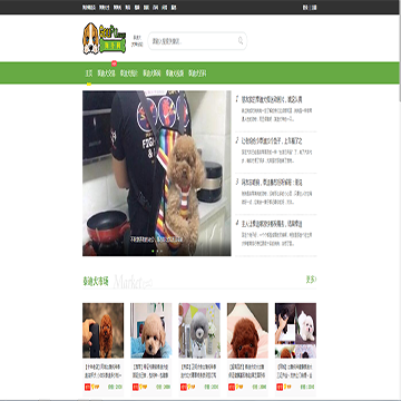 狗扑泰迪网