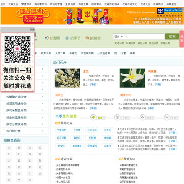 花粉丝